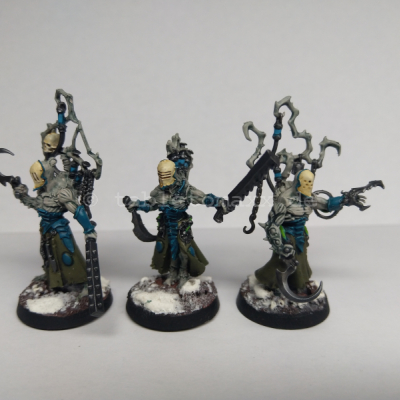 Farbschema: Fleischfanatisten (Dark Eldar/Drukhari)